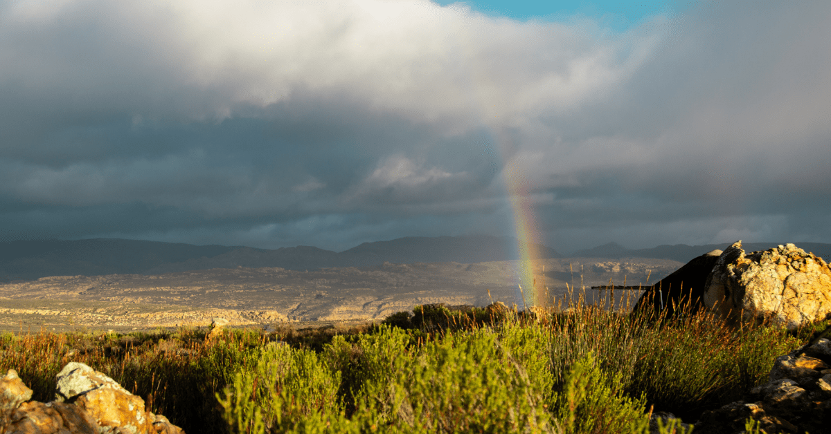 Some rain can still be expected in spring